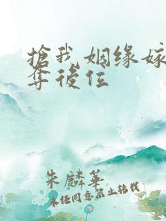 抢我姻缘嫁暴君夺后位