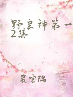 野良神第一季12集