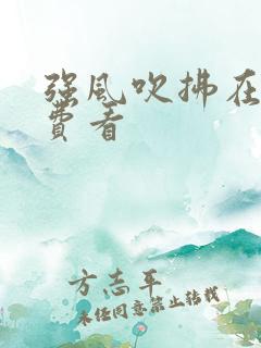 强风吹拂在线免费看