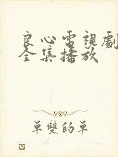 良心电视剧免费全集播放