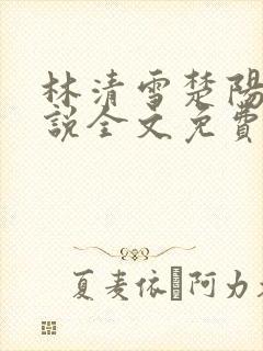 林清雪楚阳的小说全文免费阅读