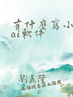 有什么写小说的ai软件