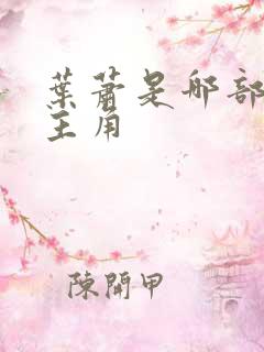 叶萧是哪部小说主角