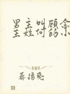 男主叫顾念西女主姓何的小说