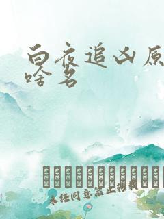 白夜追凶原著叫啥名