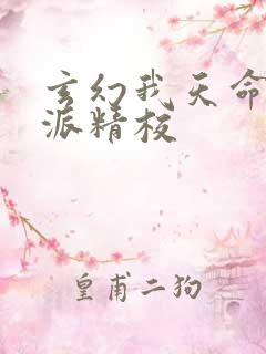 玄幻我天命大反派精校