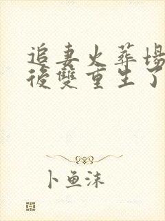 追妻火葬场he后双重生了免费阅读