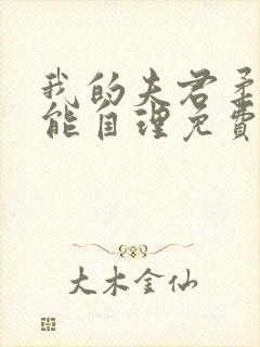 我的夫君柔弱不能自理免费阅读