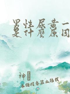 男性尿黄一年了是什么原因