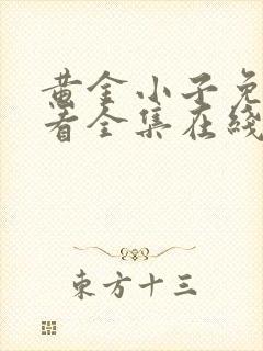 黄金小子免费观看全集在线高清普通话