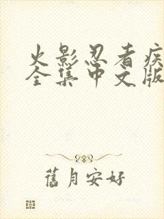 火影忍者疾风传全集中文版