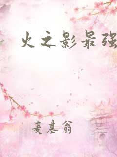 火之影最强忍者