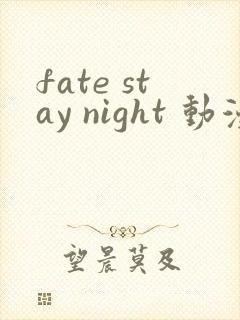 fate stay night 动漫