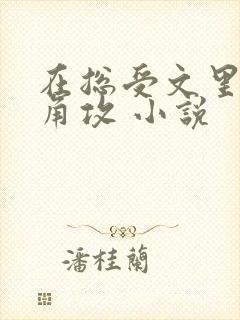 在总受文里抢主角攻 小说