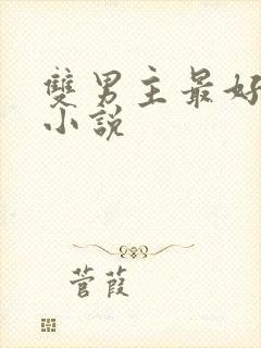 双男主最好看的小说