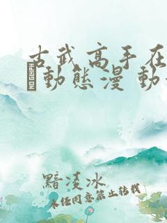 古武高手在都市·动态漫 动漫