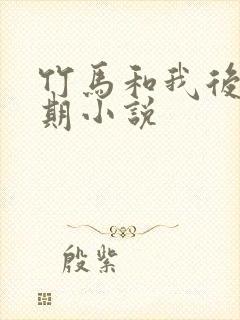 竹马和我后会无期小说