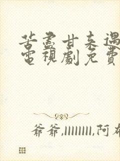 苦尽甘来遇见你电视剧免费观看全集高清