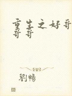 重生之好哥哥兵哥哥