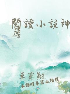 阅读小说神器推荐