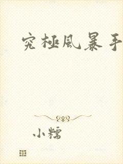 究极风暴手机版