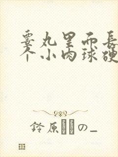 睾丸里面长了两个小肉球硬硬的