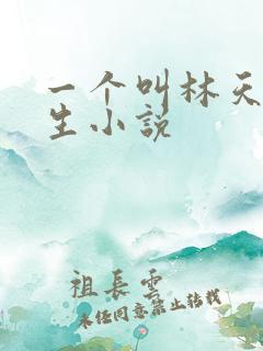 一个叫林天的重生小说