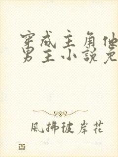 穿成主角他哥双男主小说免费阅读