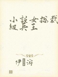 小说女总裁的超级兵王