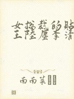 女总裁的贴身兵王陆尘李清瑶