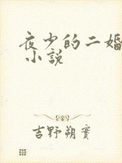 夜少的二婚新妻 小说