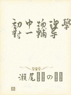 初中物理学习一对一辅导