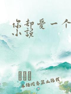 你却爱一个烧饼小说