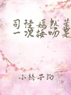 司徒嫣然叶凡第一次接吻是哪章