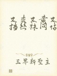 又爽又黄又无遮挡丝袜网站