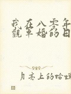 我在八零年代围观军婚的日子小说