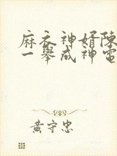 麻衣神婿陈黄皮一举成神电子书