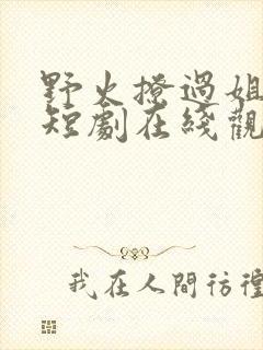 野火撩过姐姐心短剧在线观看