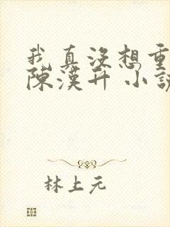 我真没想重生啊陈汉升 小说