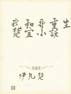 我和哥重生了赵楚宜小说