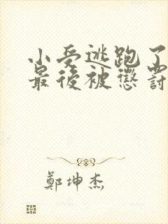 小受逃跑了六年最后被惩罚了吗