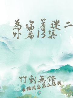 为你着迷二季番外篇13集