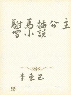 驸马插公主恋战雪小说