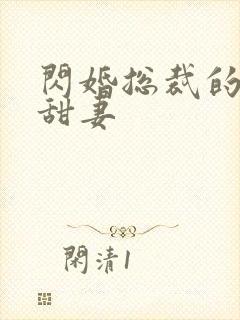 闪婚总裁的契约甜妻