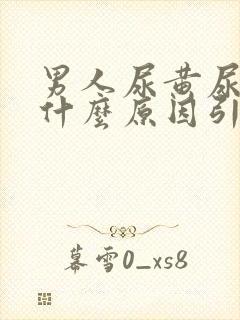 男人尿黄尿痛是什么原因引起的