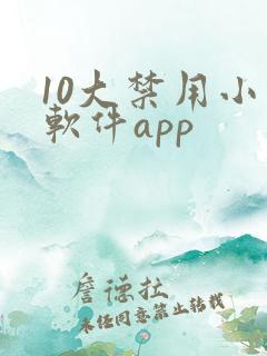 10大禁用小说软件app