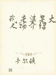 我老婆是大明星人物介绍