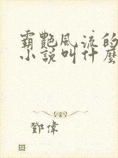 霸艳风流的原著小说叫什么