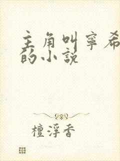 主角叫宁希叶凡的小说