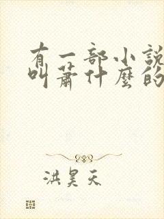 有一部小说主角叫萧什么的